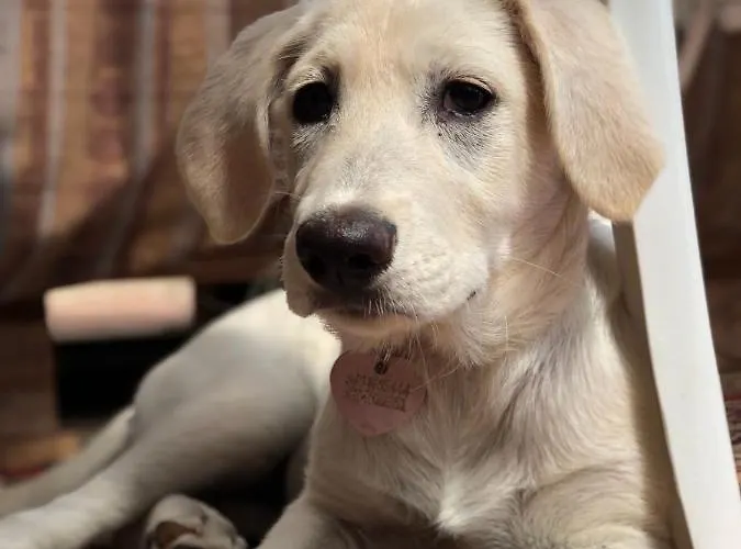 Aloe Ranch Elba 4* 카보