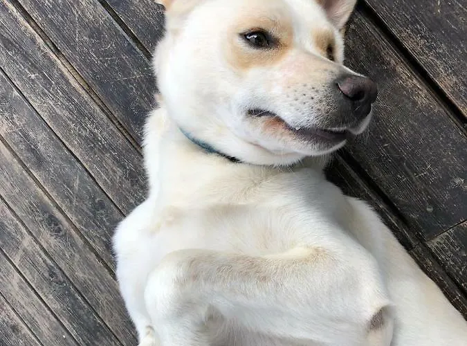 Aloe Ranch Elba B&B 카보