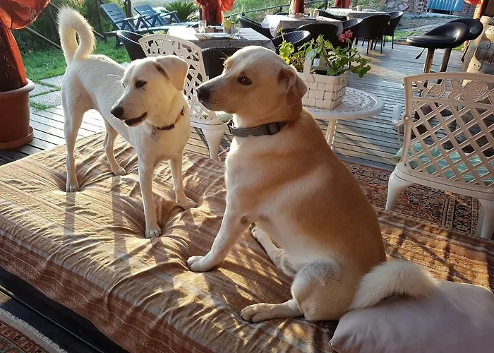 Aloe Ranch Elba Bed & Breakfast Cavo